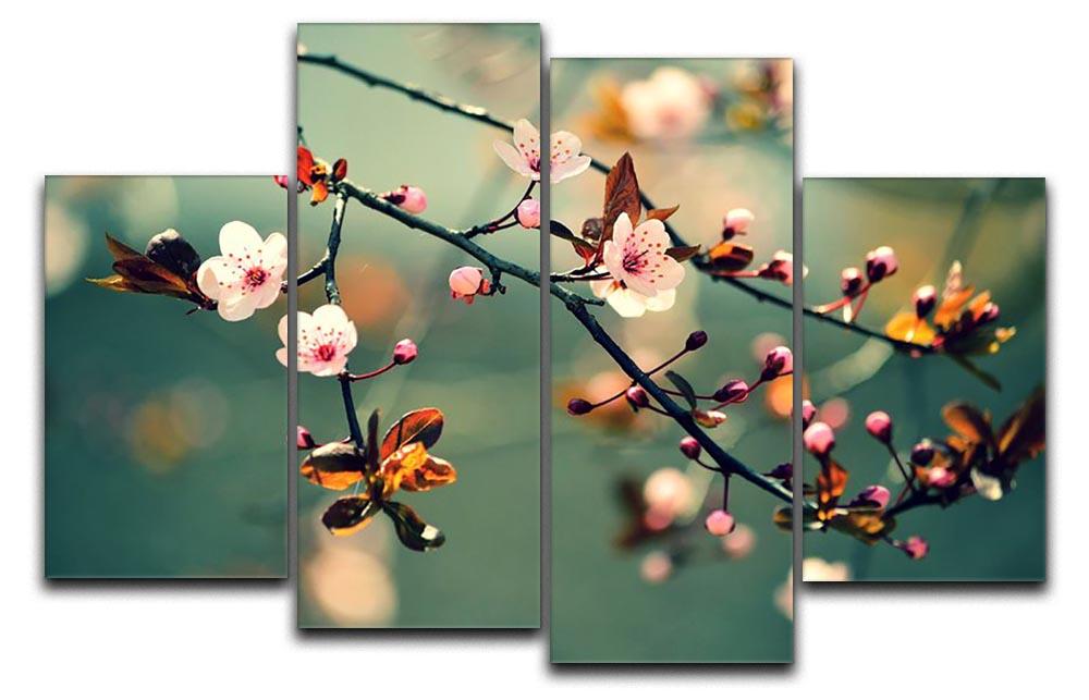 Beautiful flowering Japanese cherry blossoms on a 4 split panel canvas artwork, showcasing delicate pink flowers against a serene background.