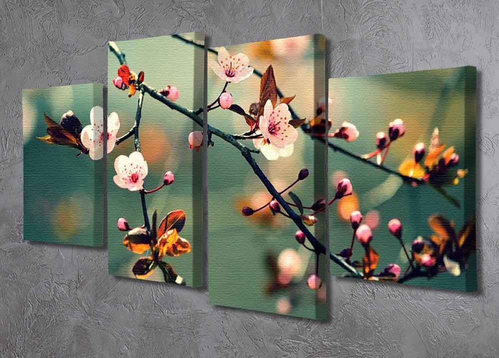 Beautiful flowering Japanese cherry blossoms on a 4 split panel canvas artwork, showcasing delicate pink flowers against a serene background.