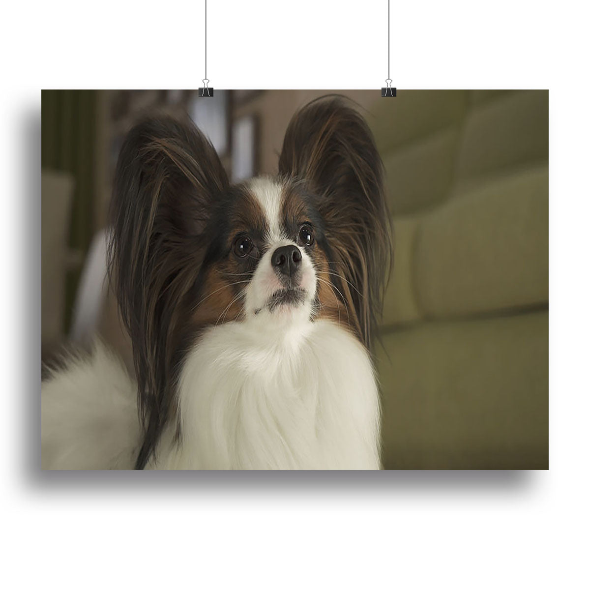 Beautiful male Papillon dog canvas print showcasing vibrant colors and intricate details, perfect for home decor.