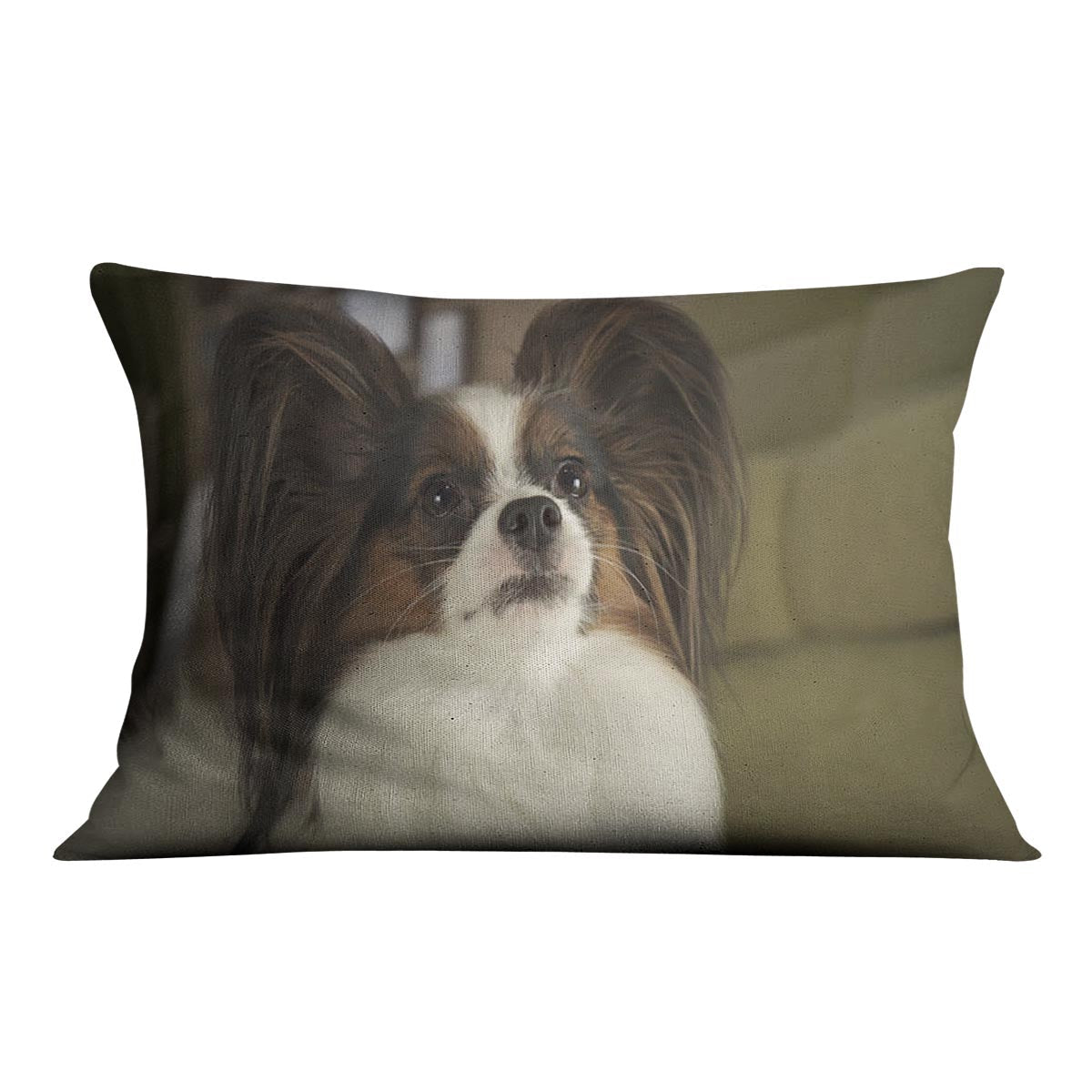 Beautiful male dog Papillon Cushion with vibrant abstract design on luxurious faux suede fabric, perfect for home decor.