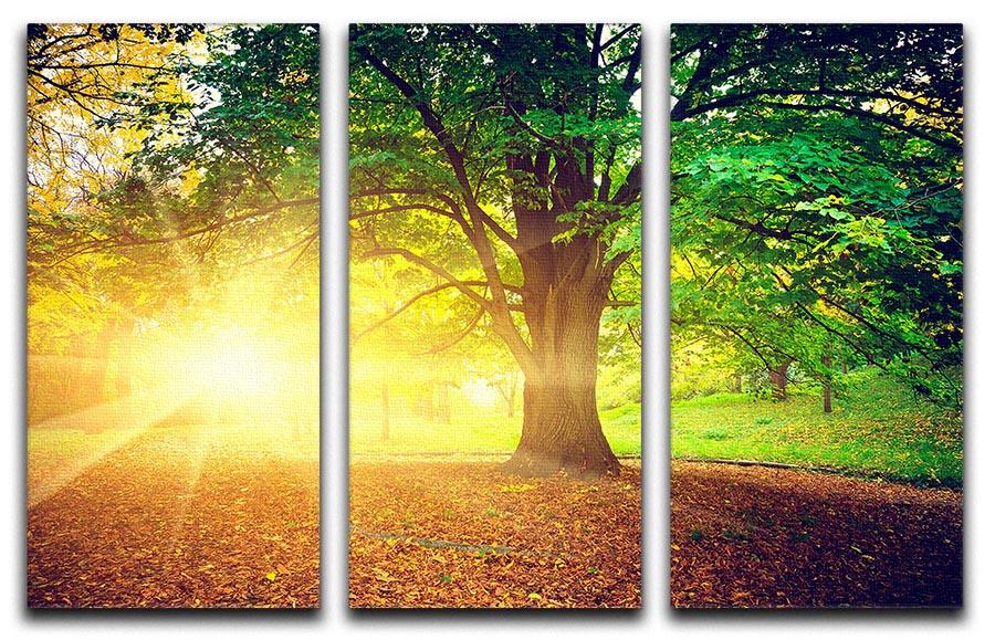 Beautiful Park 3 Split Panel Canvas Print showcasing vibrant nature scenes in three panels, enhancing any interior decor.