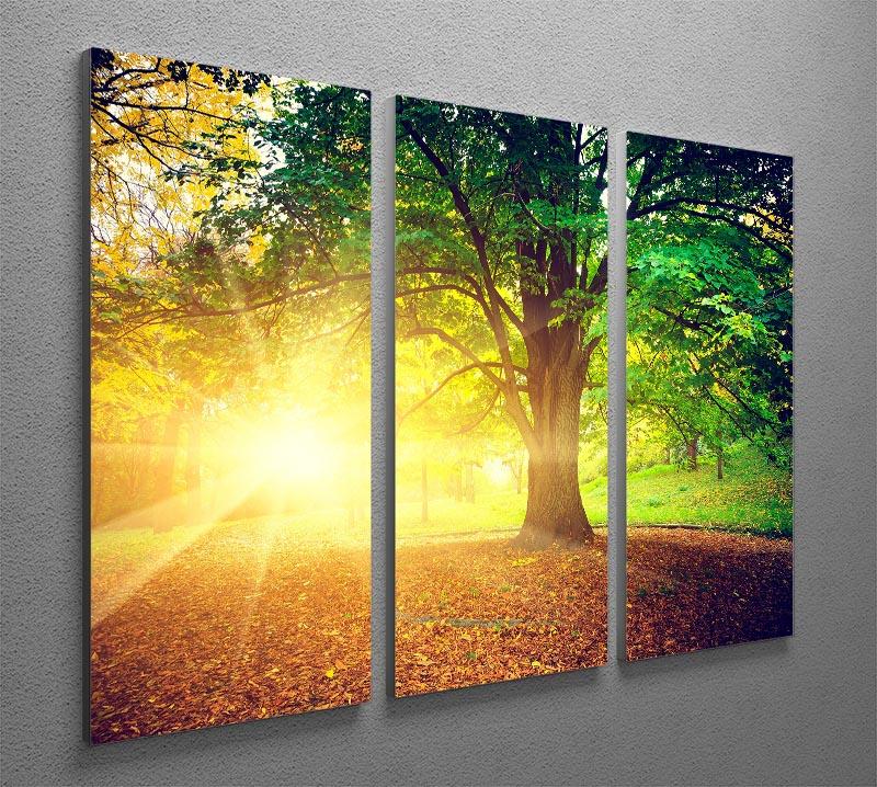 Beautiful Park 3 Split Panel Canvas Print showcasing vibrant nature scenes in three panels, enhancing any interior decor.