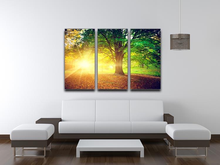 Beautiful Park 3 Split Panel Canvas Print showcasing vibrant nature scenes in three panels, enhancing any interior decor.