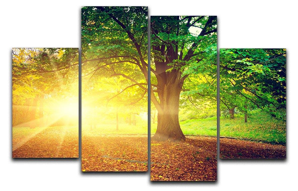 Beautiful Park 4 Split Panel Canvas artwork featuring serene park imagery divided into four panels, creating a dynamic visual effect.