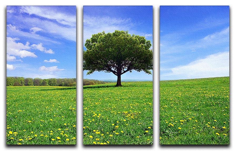 Beautiful Spring Landscape 3 Split Panel Canvas Print showcasing vibrant colors and serene nature scenes across three panels.