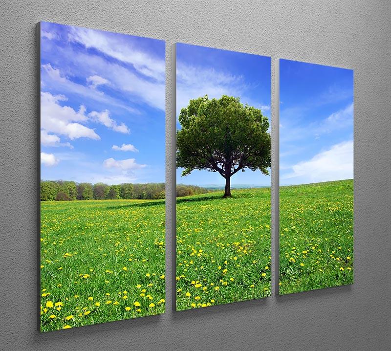 Beautiful Spring Landscape 3 Split Panel Canvas Print showcasing vibrant colors and serene nature scenes across three panels.