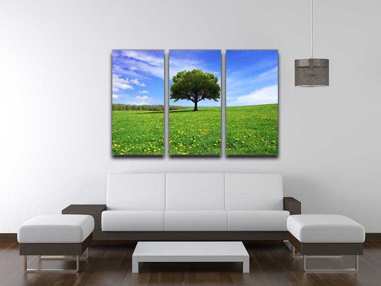 Beautiful Spring Landscape 3 Split Panel Canvas Print showcasing vibrant colors and serene nature scenes across three panels.