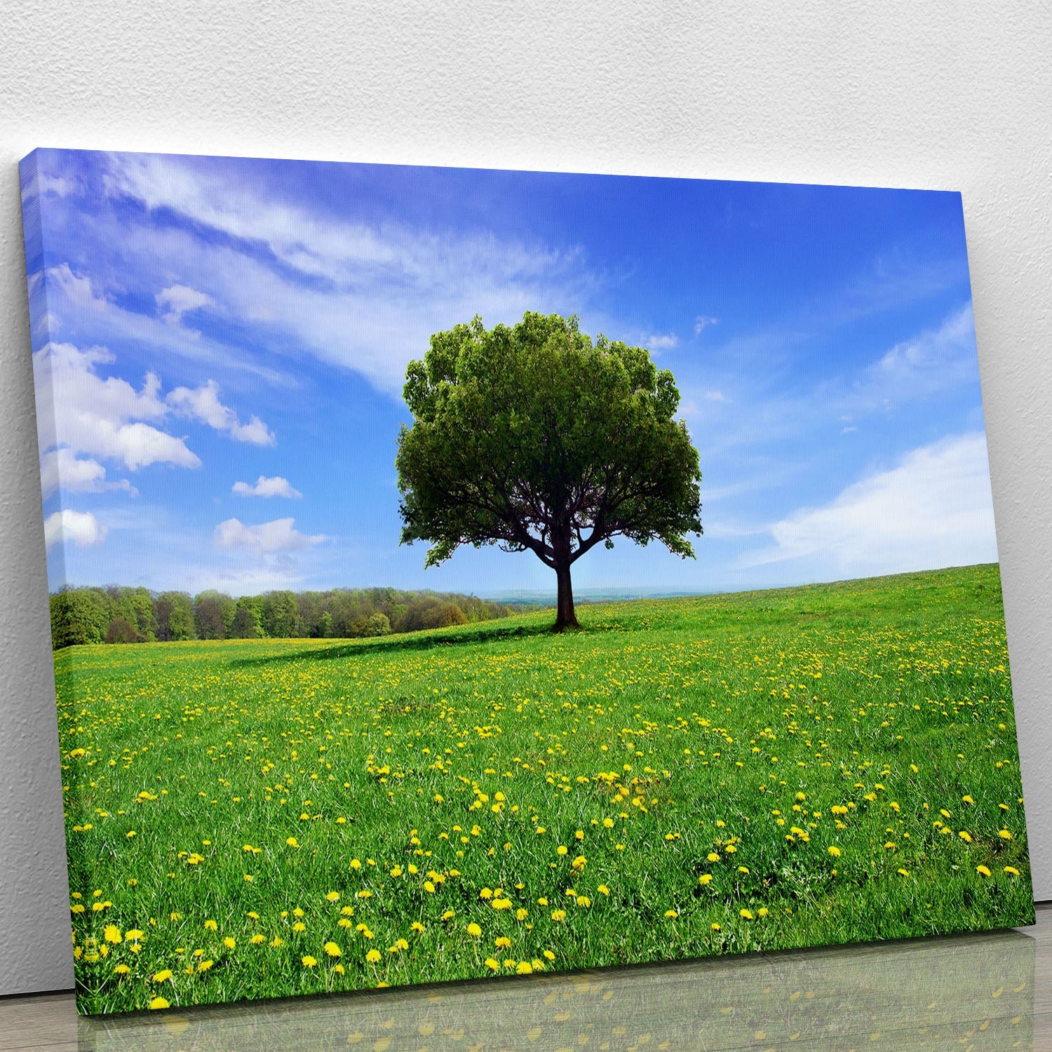 A vibrant spring landscape canvas print featuring blooming flowers and lush greenery, perfect for home decor.