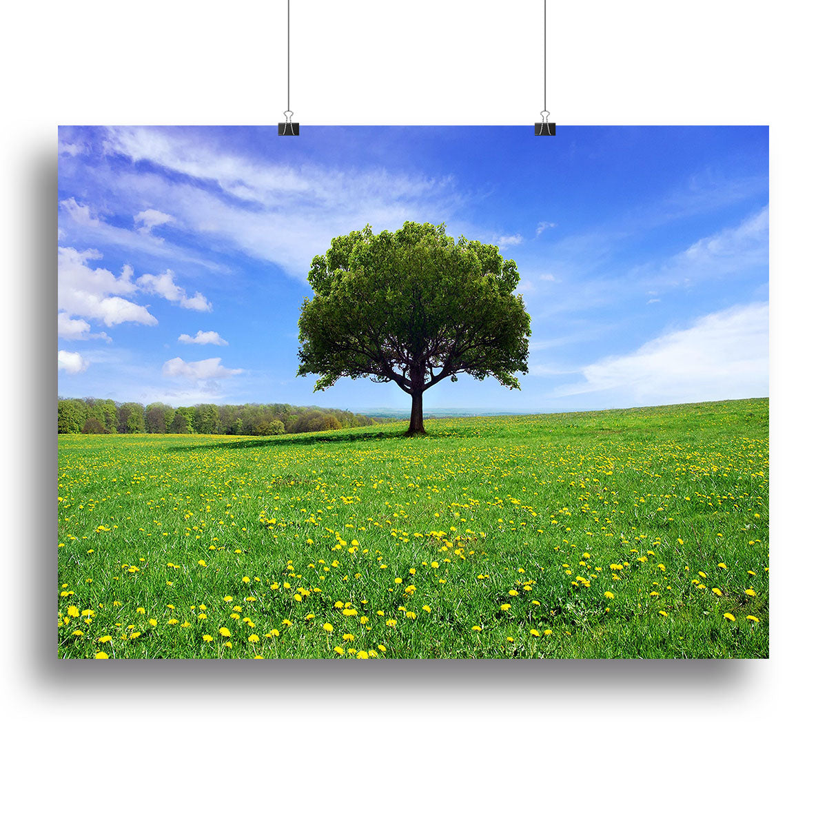 A vibrant spring landscape canvas print featuring blooming flowers and lush greenery, perfect for home decor.