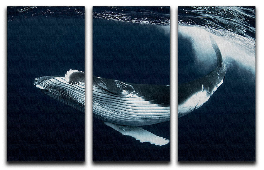 Beautiful Turn 3 Split Panel Canvas Print showcasing vibrant colors and elegant design, perfect for home decor.