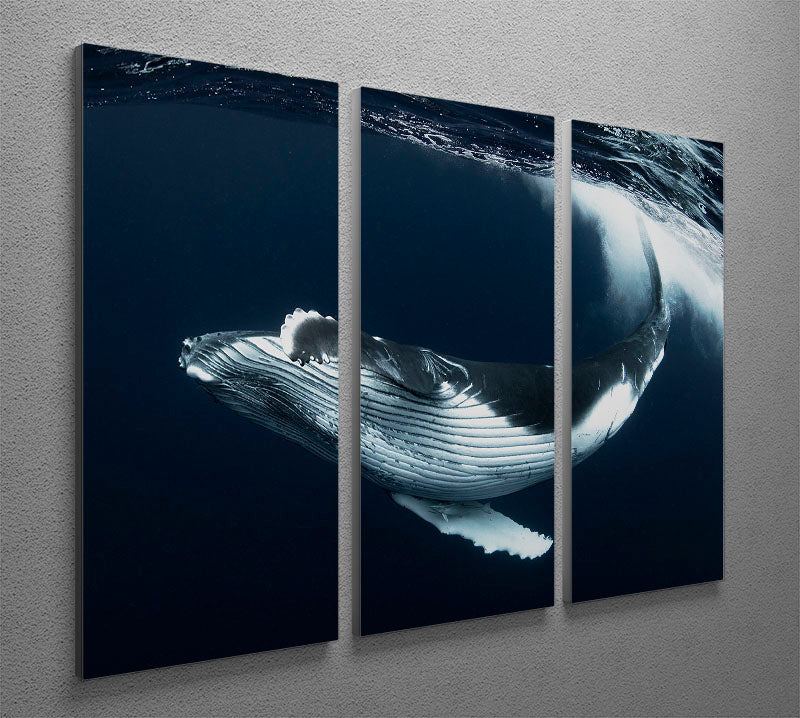 Beautiful Turn 3 Split Panel Canvas Print showcasing vibrant colors and elegant design, perfect for home decor.