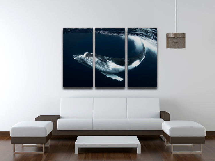 Beautiful Turn 3 Split Panel Canvas Print showcasing vibrant colors and elegant design, perfect for home decor.