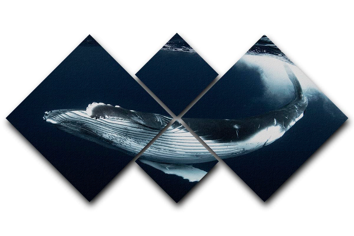 Beautiful Turn 4 Square Multi Panel Canvas featuring four equal square sections, showcasing a harmonious and vibrant artwork.