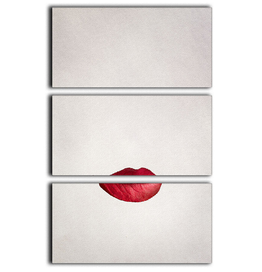 Beauty Autumn 3 Split Panel Canvas Print featuring vibrant autumn colors and nature-inspired design, perfect for home decor.