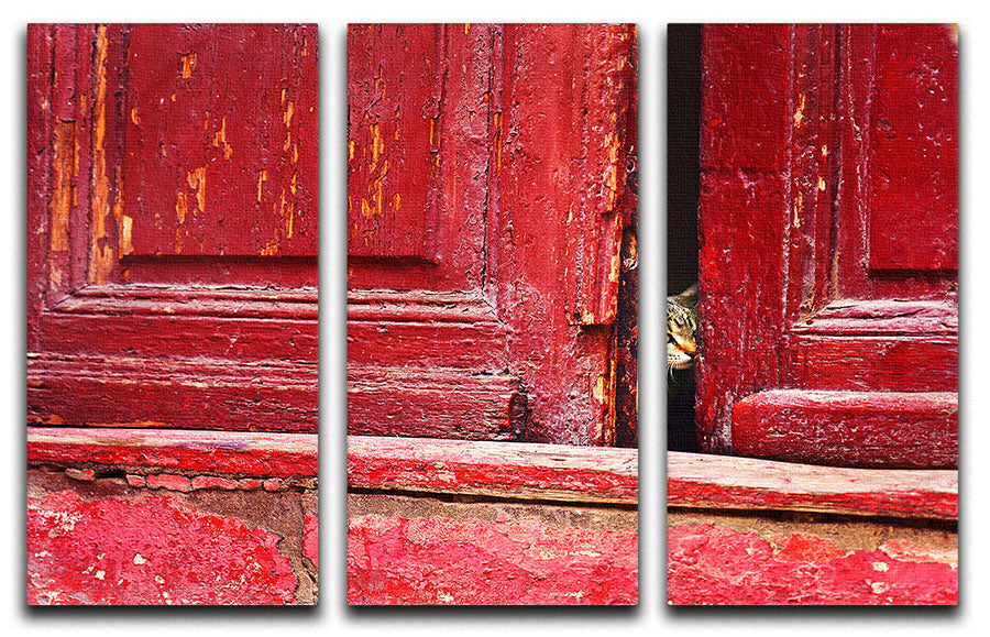 A stunning 3-panel canvas print featuring a captivating design, perfect for enhancing any living space.