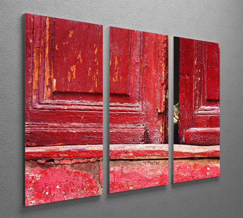 A stunning 3-panel canvas print featuring a captivating design, perfect for enhancing any living space.