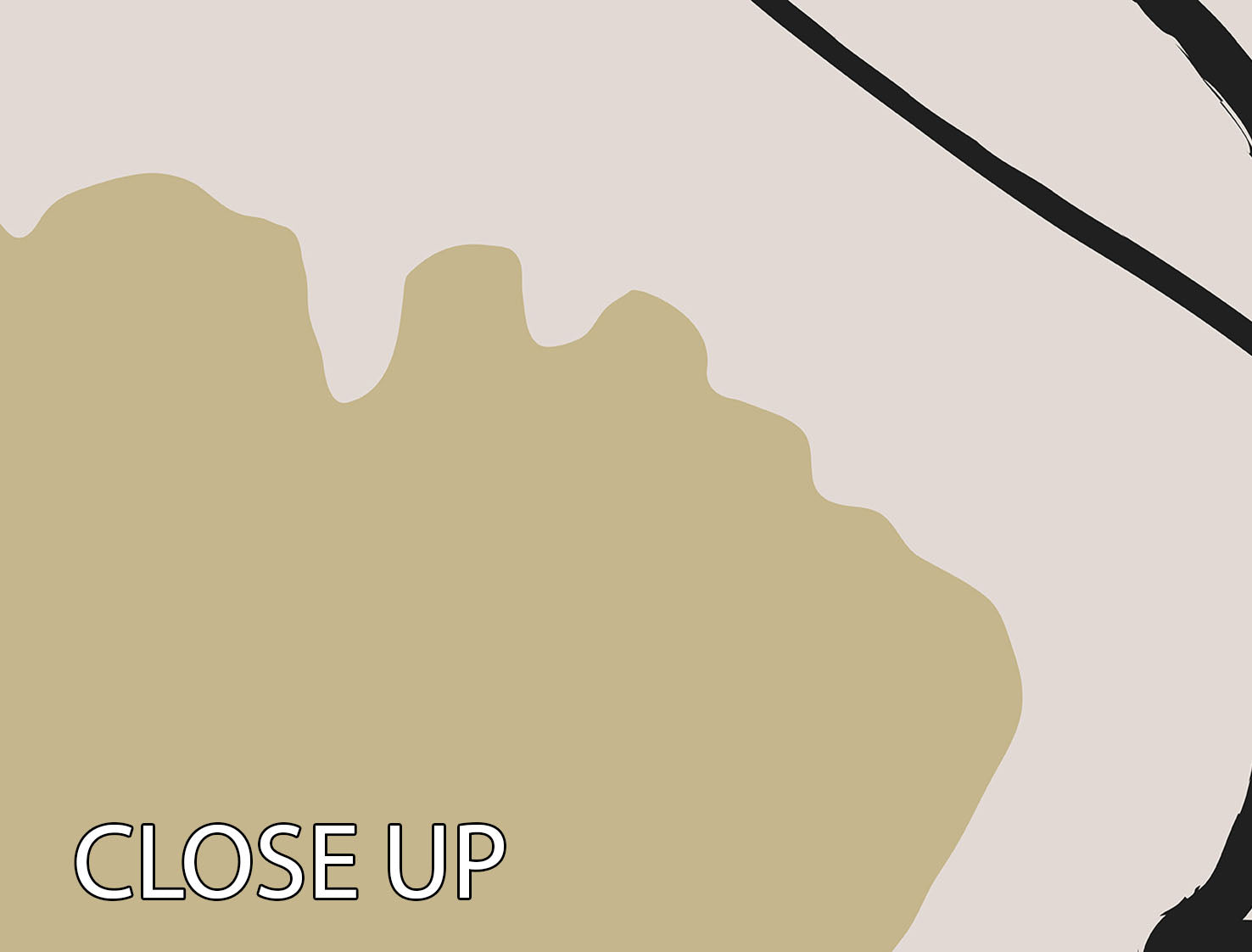 Beige Flowers 02 3 Split Panel Canvas Print showcasing elegant floral design across three panels.