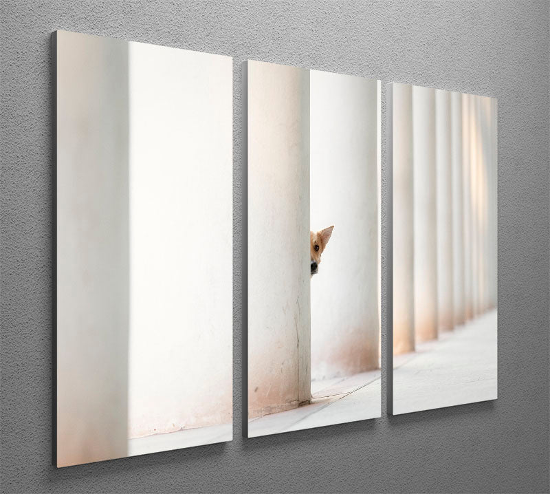 Bella and the Pillars of the Earth 3 Split Panel Canvas Print showcasing vibrant colors and intricate details, perfect for home decor.