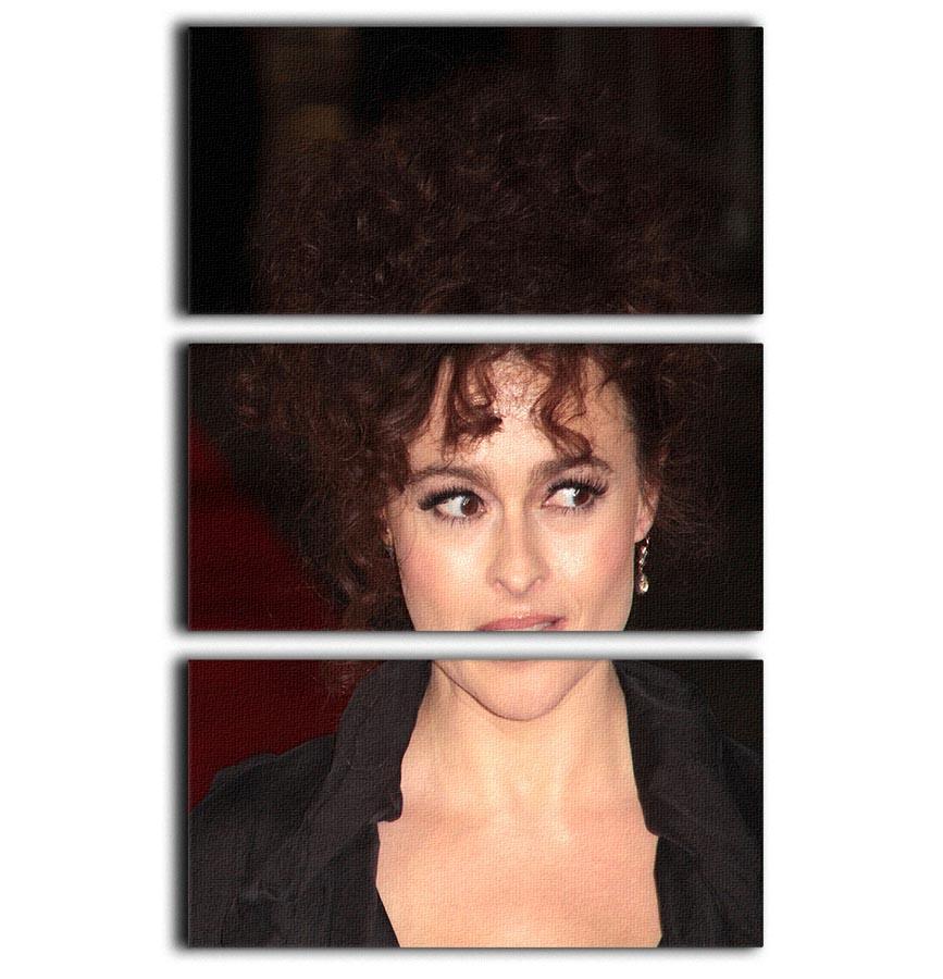 Bellatrix Lestrange 3-panel canvas print featuring vibrant colors and intricate details, perfect for Harry Potter fans.