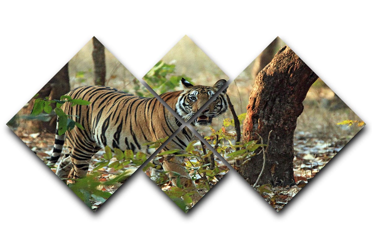 Bengal Tiger 4 Square Multi Panel Canvas artwork featuring a majestic tiger in vibrant colors, divided into four equal panels.
