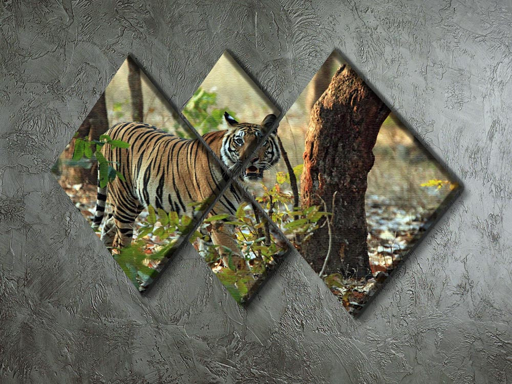 Bengal Tiger 4 Square Multi Panel Canvas artwork featuring a majestic tiger in vibrant colors, divided into four equal panels.