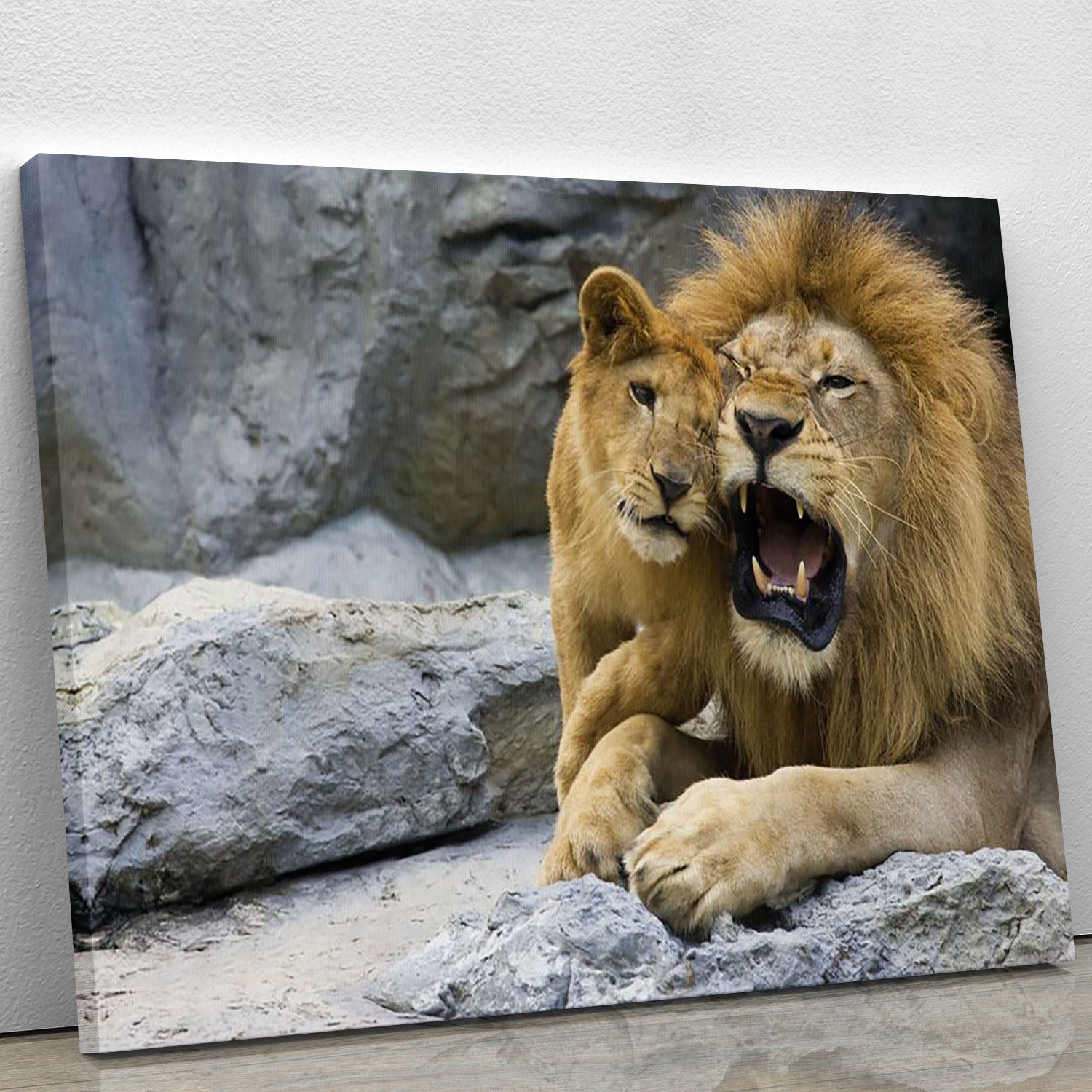 A beautiful canvas print featuring a lion father and his son playing together, showcasing their bond in a vibrant and artistic style.
