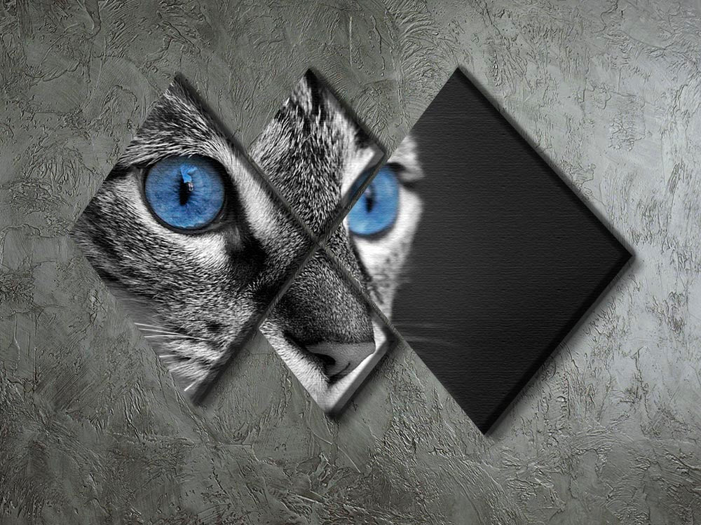 Close-up of a black and white cat with striking deep blue eyes, displayed in a 4-square canvas format.