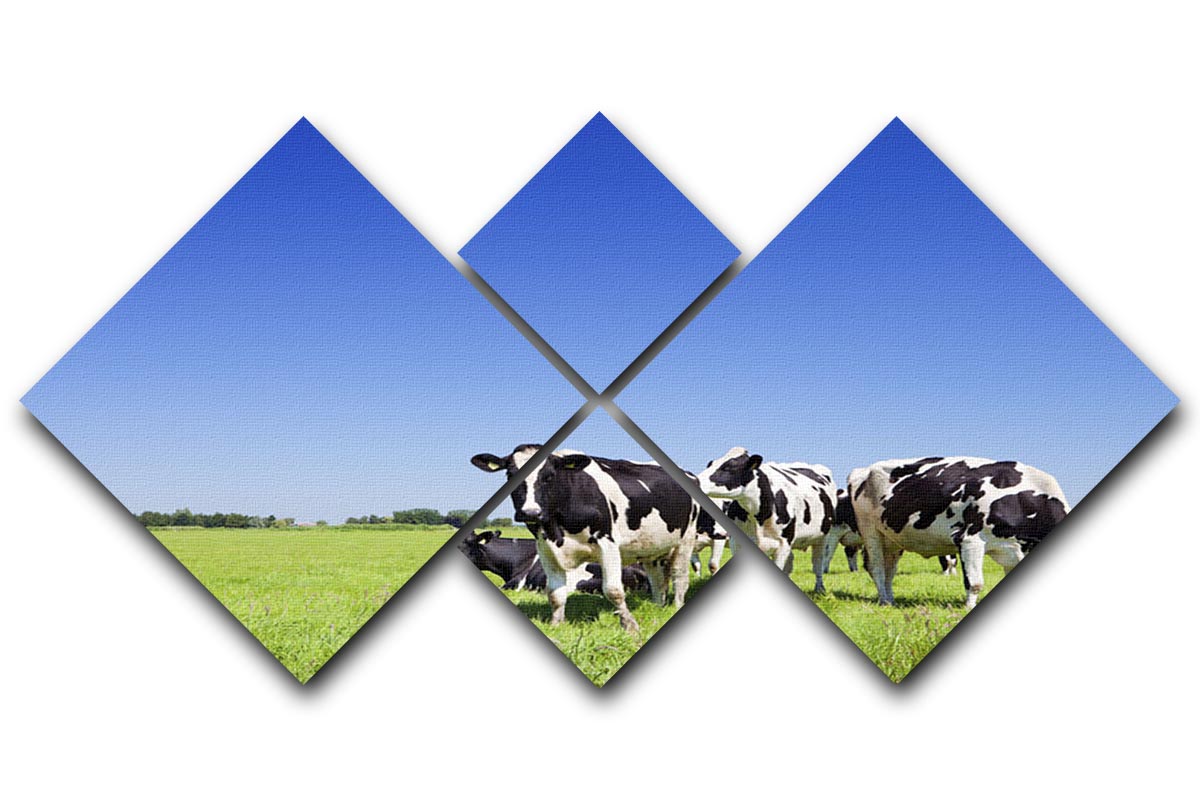 A beautiful 4-panel canvas artwork featuring black and white cows, showcasing a harmonious design suitable for various decor styles.