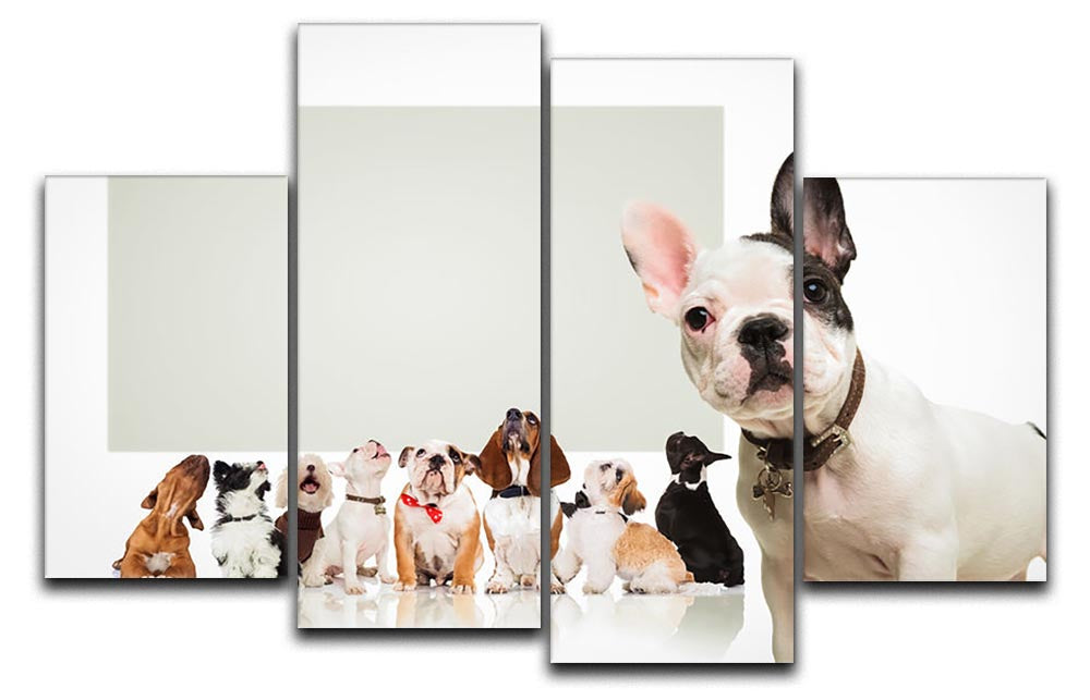 A charming black and white canvas artwork featuring a French Bulldog puppy, divided into four panels for a dynamic display.