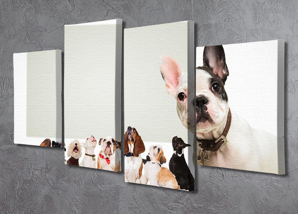 A charming black and white canvas artwork featuring a French Bulldog puppy, divided into four panels for a dynamic display.