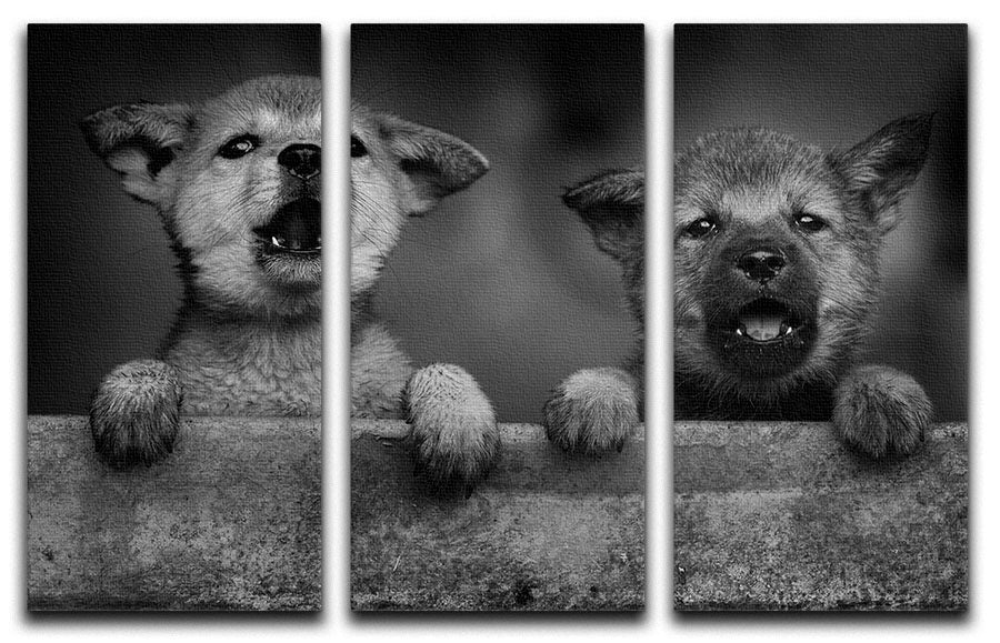 Three-panel canvas print featuring adorable black and white puppies, perfect for home decor.