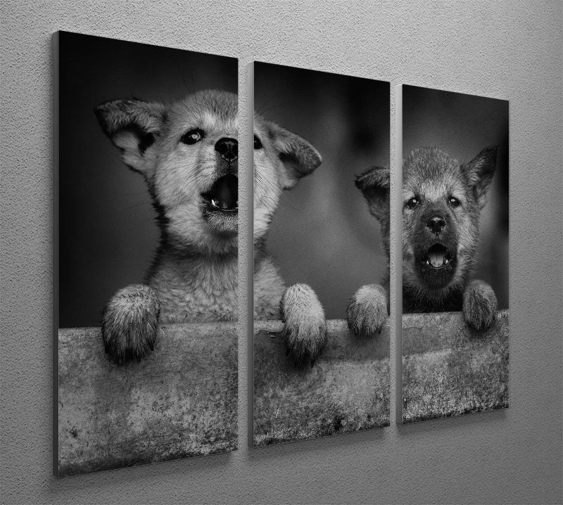 Three-panel canvas print featuring adorable black and white puppies, perfect for home decor.