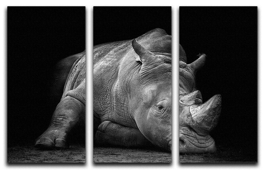 Black and White Rhink 3 Split Panel Canvas Print showcasing a modern and elegant design, perfect for enhancing any interior space.