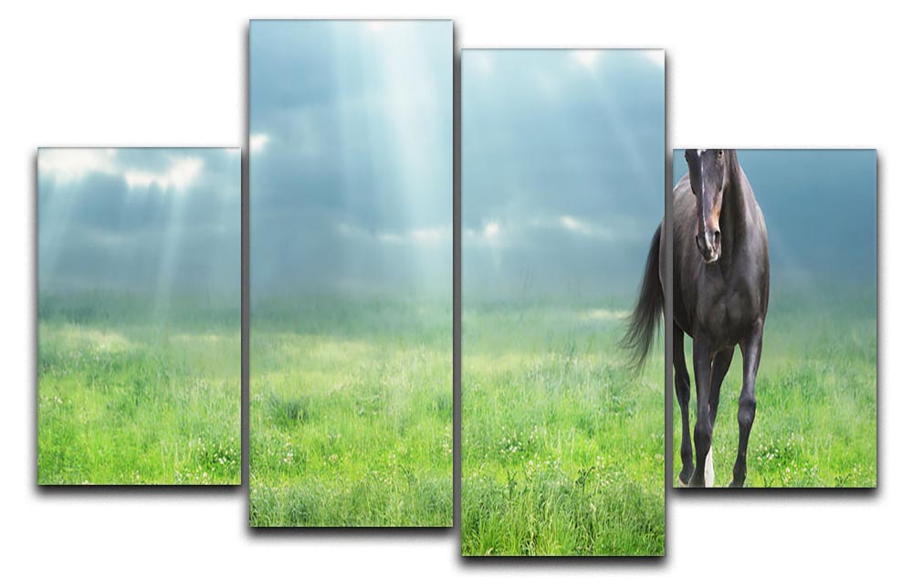 A stunning 4-panel canvas artwork featuring a black horse running, creating a dynamic and elegant display.