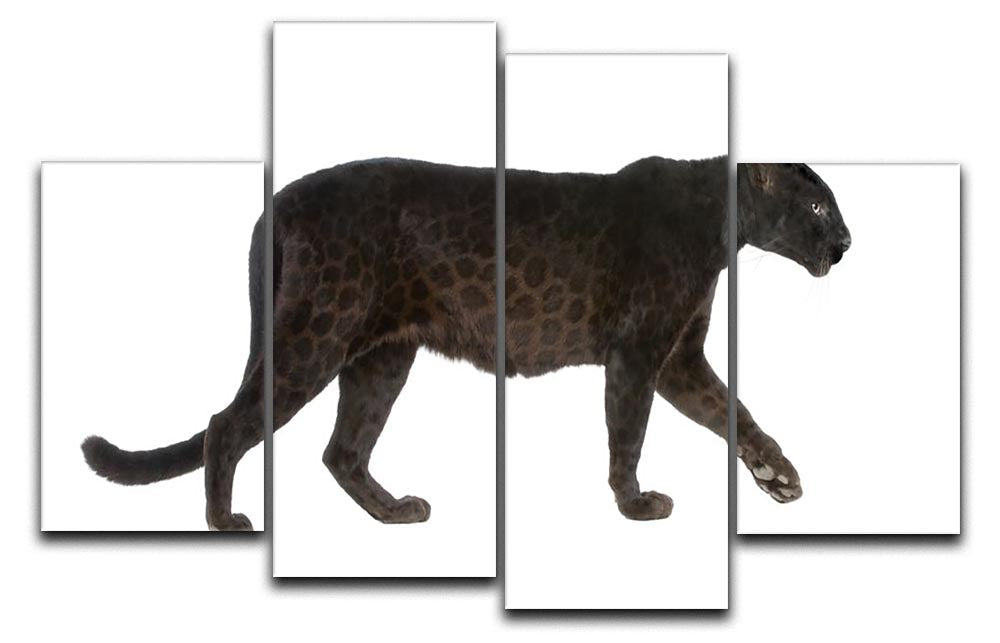 Black Leopard 4 Split Panel Canvas artwork featuring a majestic black leopard across four panels, creating a dynamic and cohesive design.