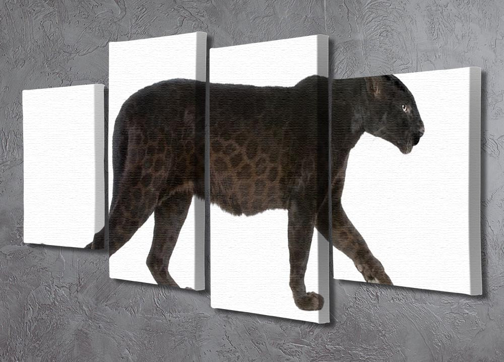 Black Leopard 4 Split Panel Canvas artwork featuring a majestic black leopard across four panels, creating a dynamic and cohesive design.