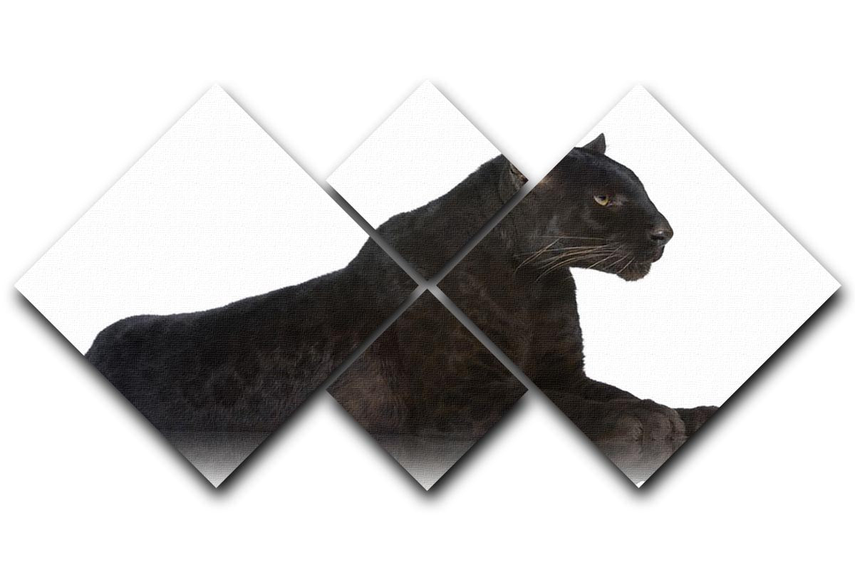 A stunning 4-square canvas artwork featuring a black leopard, elegantly displayed against a white background.