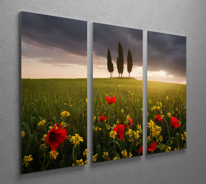 Blooming Tuscany 3 Split Panel Canvas Print showcasing vibrant colors and elegant design, perfect for enhancing home decor.