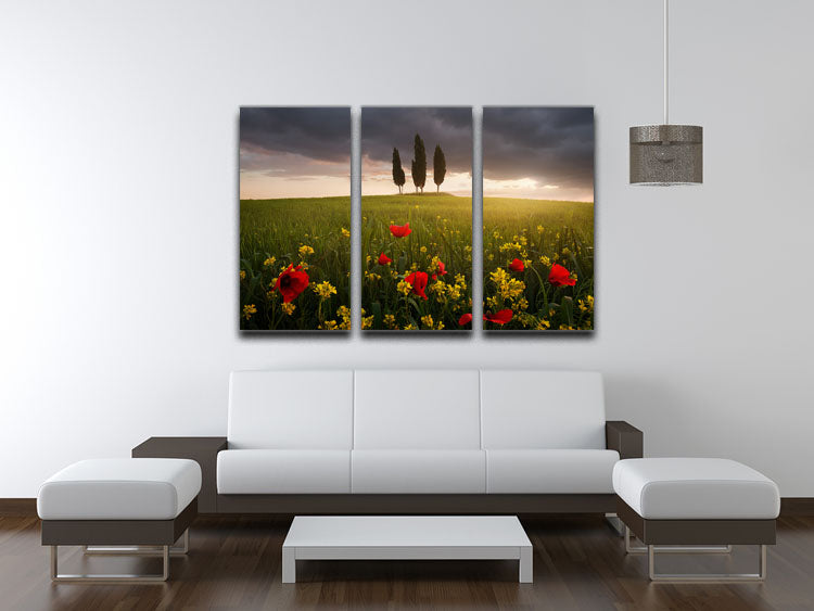 Blooming Tuscany 3 Split Panel Canvas Print showcasing vibrant colors and elegant design, perfect for enhancing home decor.
