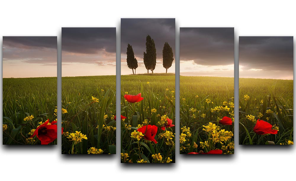 Blooming Tuscany 5 Split Panel Canvas artwork featuring vibrant floral landscapes divided into five panels.