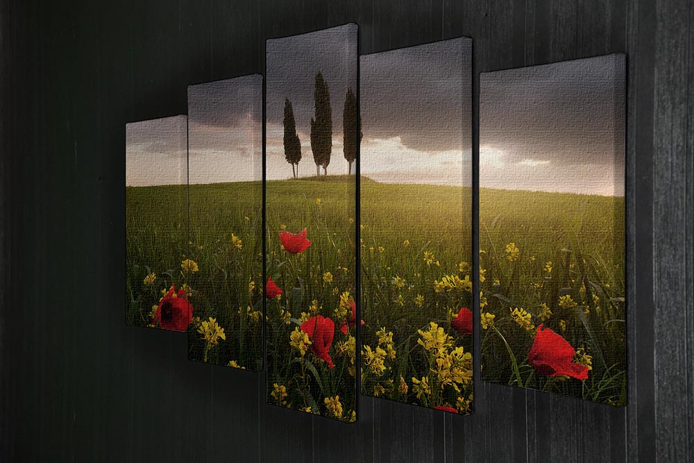 Blooming Tuscany 5 Split Panel Canvas artwork featuring vibrant floral landscapes divided into five panels.