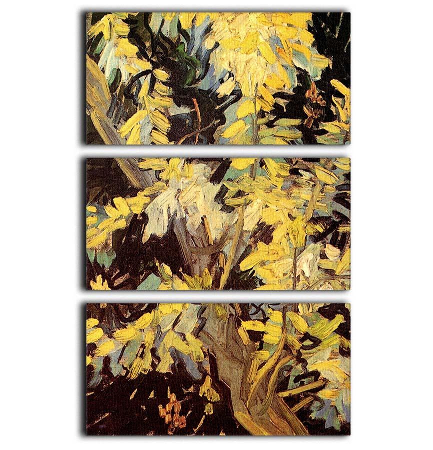 Three-panel canvas print of Van Gogh's Blossoming Acacia Branches, showcasing vibrant colors and intricate details.