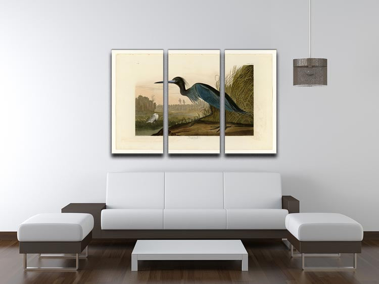 A beautiful 3-panel canvas print featuring a Blue Crane, showcasing vibrant colors and intricate details, perfect for home decor.