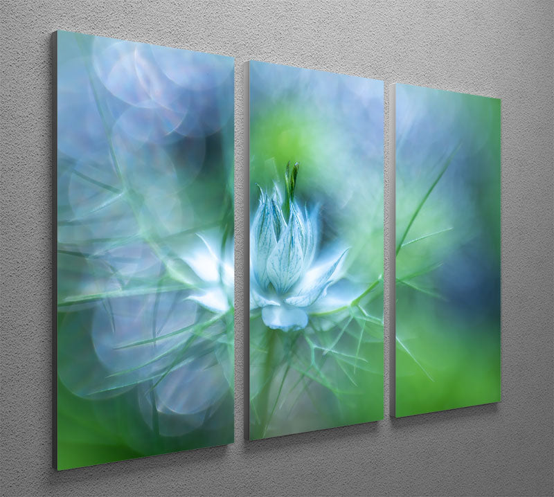 A beautiful Blue Flower 3 Split Panel Canvas Print showcasing vibrant blue flowers on a textured background, ideal for home decor.