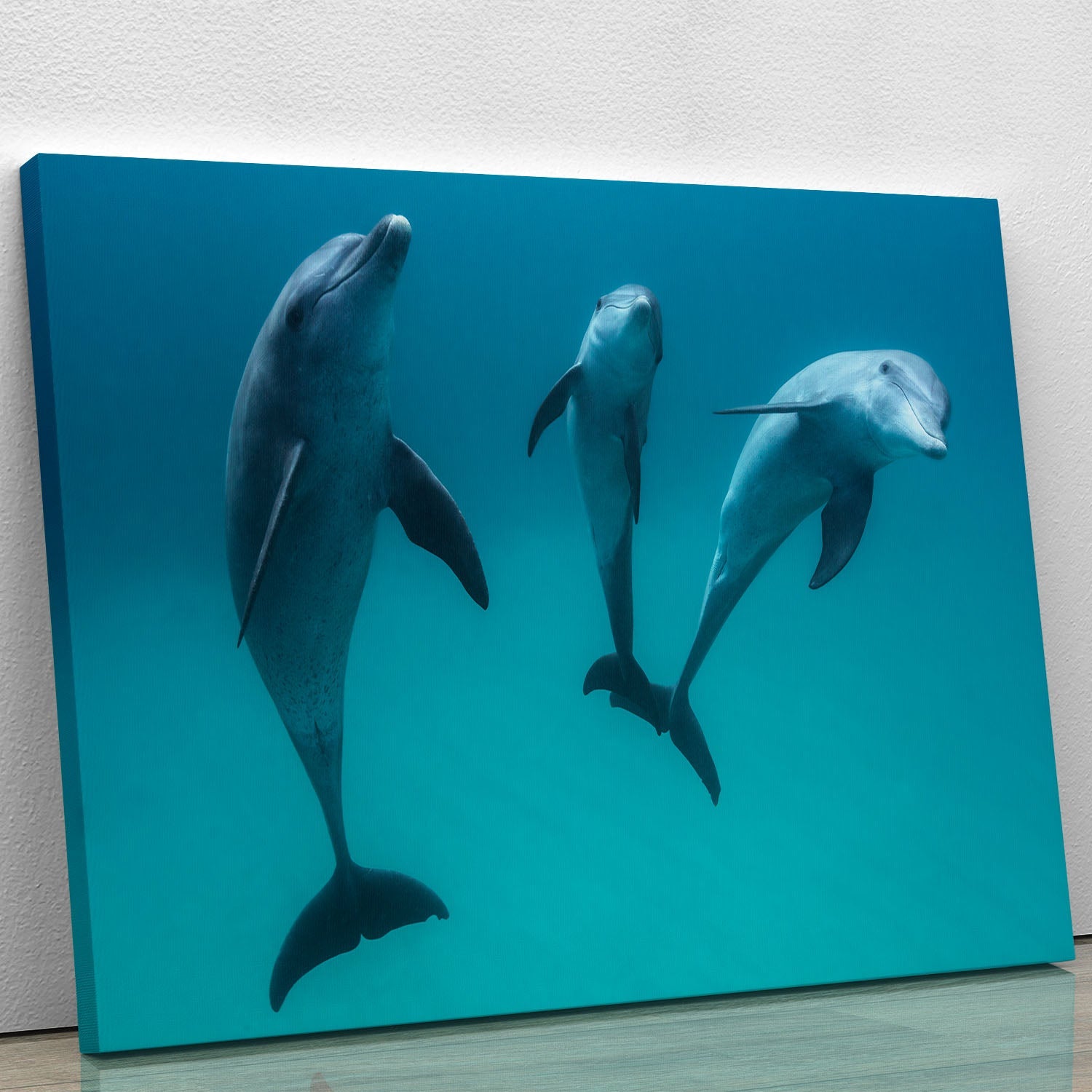 A vibrant canvas print of Bottlenose dolphins swimming gracefully in the ocean, showcasing their playful nature and beauty.