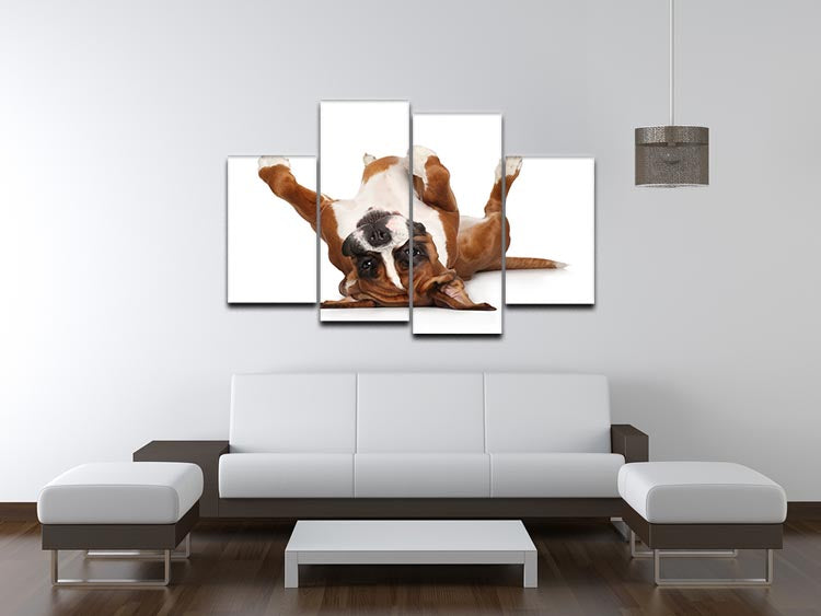 A 4-panel canvas artwork featuring a Boxer dog lying on its back, showcasing its playful nature.