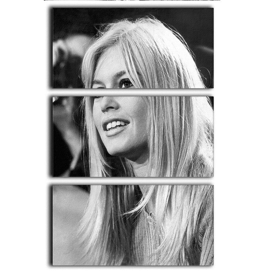 Brigitte Bardot in 1966 3-panel canvas print showcasing elegant design and vibrant colors.