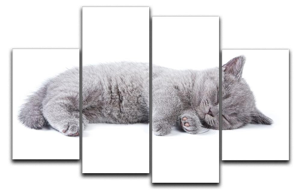 A charming British kitten artwork displayed on a 4 split panel canvas, featuring adorable kittens on a soft white background.