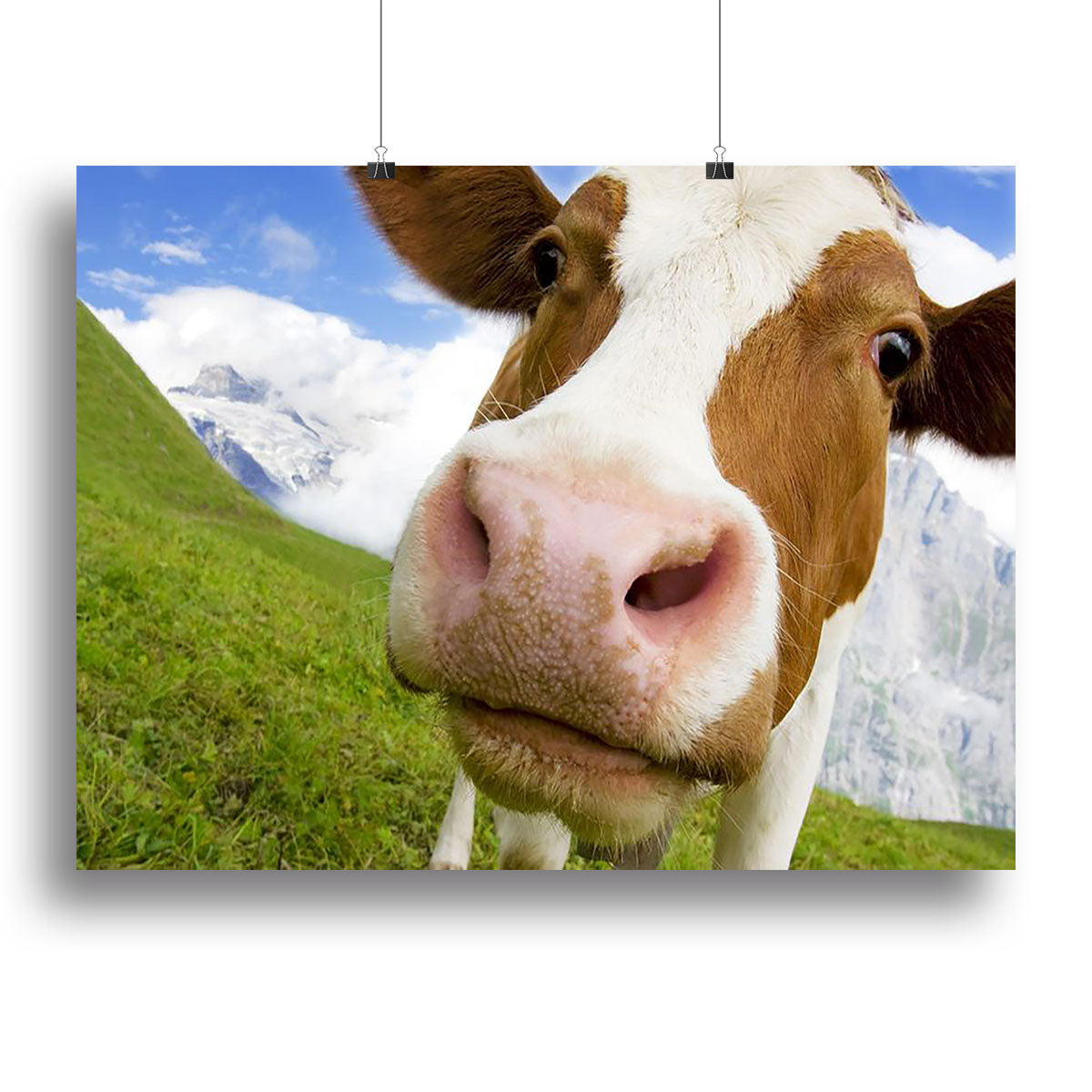 A beautiful canvas print featuring a brown and white cow in the picturesque Alps, surrounded by lush greenery and majestic mountains.