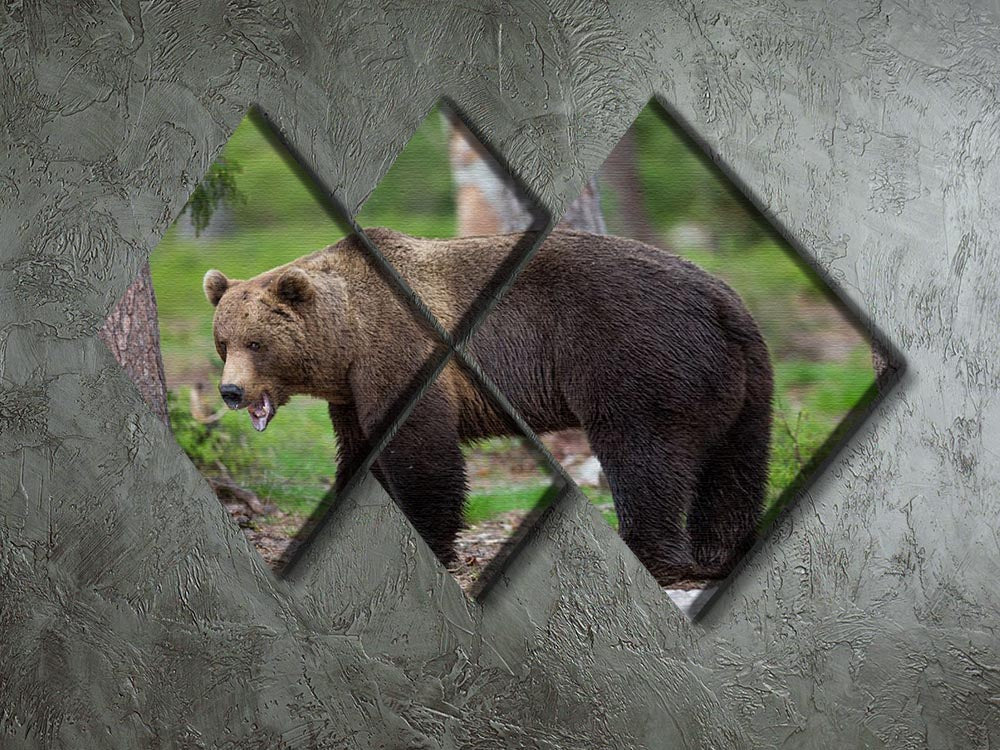 A beautiful 4-square multi-panel canvas featuring a brown bear in the Tiaga forest, showcasing nature's beauty.